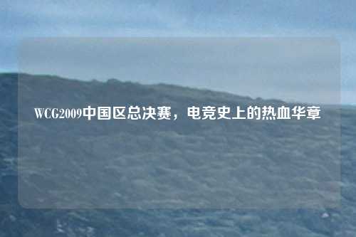 WCG2009中国区总决赛，电竞史上的热血华章