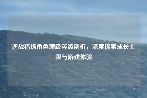 逆战猎场角色满级等级剖析,深度探索成长上限与游戏体验