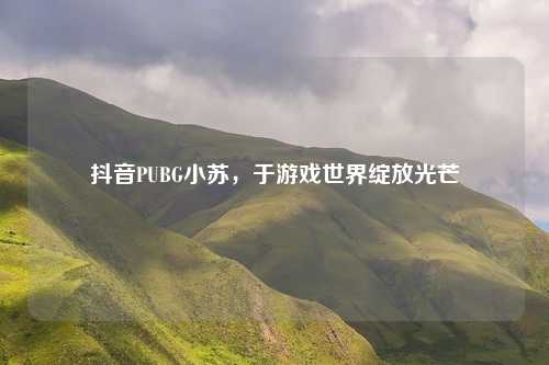 抖音PUBG小苏，于游戏世界绽放光芒
