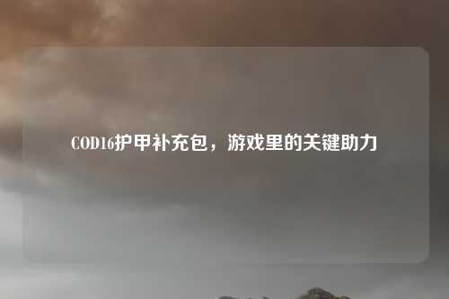 COD16护甲补充包，游戏里的关键助力