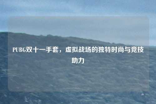 PUBG双十一手套，虚拟战场的独特时尚与竞技助力