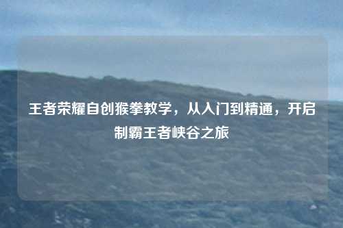 王者荣耀自创猴拳教学，从入门到精通，开启制霸王者峡谷之旅