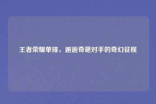 王者荣耀单排，邂逅奇葩对手的奇幻征程