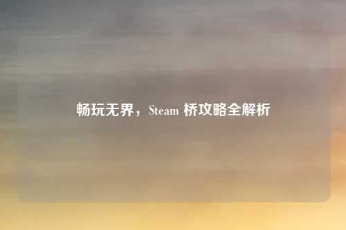 畅玩无界，Steam 桥攻略全解析