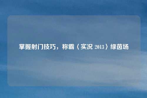 掌握射门技巧，称霸〈实况 2013〉绿茵场