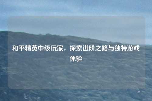 和平精英中级玩家，探索进阶之路与独特游戏体验