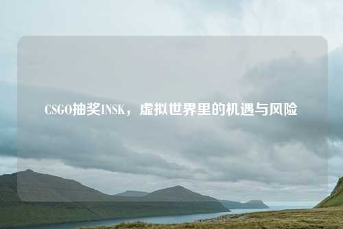 CSGO抽奖INSK，虚拟世界里的机遇与风险