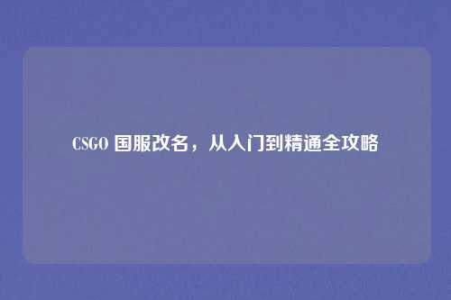 CSGO 国服改名，从入门到精通全攻略