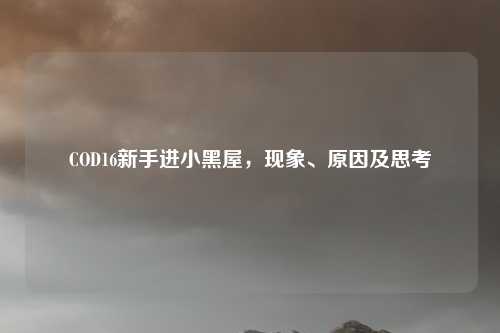 COD16新手进小黑屋，现象、原因及思考