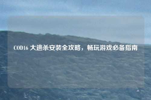 COD16 大逃杀安装全攻略，畅玩游戏必备指南