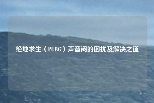 绝地求生（PUBG）声音闷的困扰及解决之道