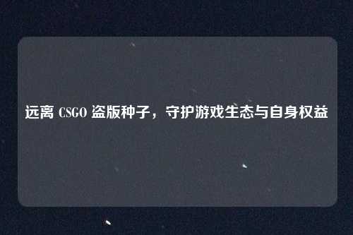远离 CSGO 盗版种子，守护游戏生态与自身权益
