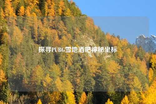 探寻PUBG雪地酒吧神秘坐标