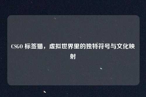 CSGO 标签猫，虚拟世界里的独特符号与文化映射