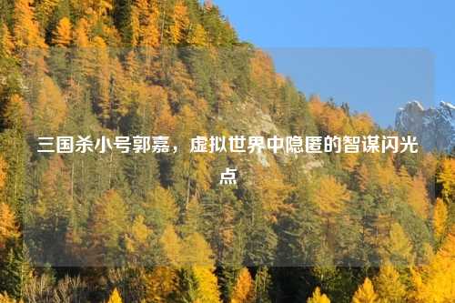 三国杀小号郭嘉，虚拟世界中隐匿的智谋闪光点