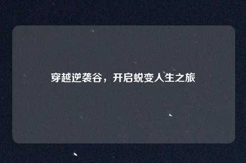 穿越逆袭谷，开启蜕变人生之旅