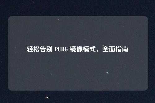 轻松告别 PUBG 镜像模式，全面指南