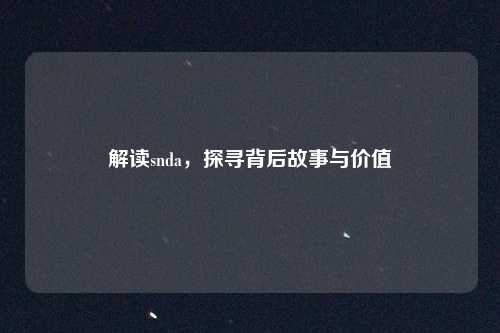解读snda，探寻背后故事与价值