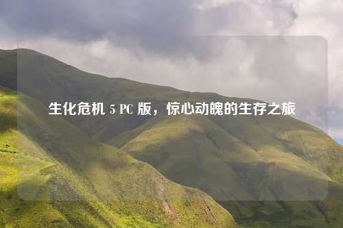 生化危机 5 PC 版，惊心动魄的生存之旅