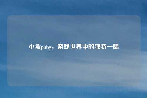 小盒pubg，游戏世界中的独特一隅