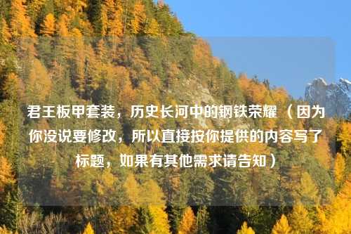 君王板甲套装，历史长河中的钢铁荣耀 （因为你没说要修改，所以直接按你提供的内容写了标题，如果有其他需求请告知）