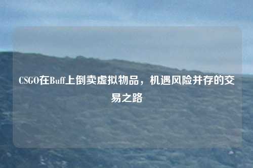 CSGO在Buff上倒卖虚拟物品，机遇风险并存的交易之路