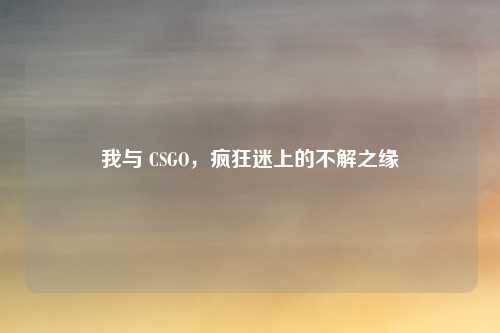 我与 CSGO，疯狂迷上的不解之缘