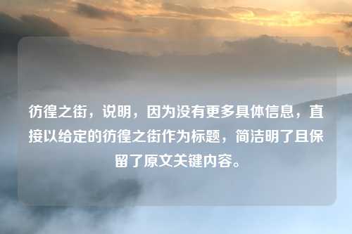 彷徨之街，说明，因为没有更多具体信息，直接以给定的彷徨之街作为标题，简洁明了且保留了原文关键内容。