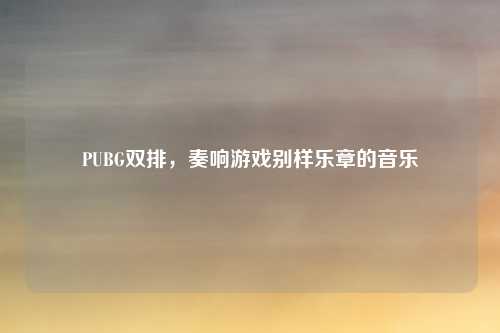 PUBG双排，奏响游戏别样乐章的音乐