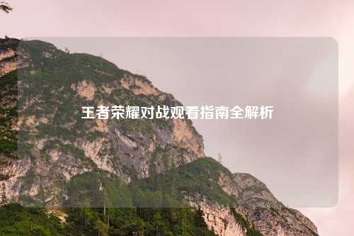 王者荣耀对战观看指南全解析