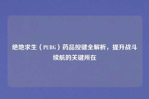 绝地求生（PUBG）药品按键全解析，提升战斗续航的关键所在