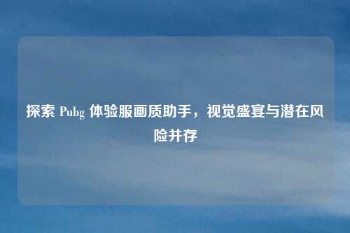 探索 Pubg 体验服画质助手，视觉盛宴与潜在风险并存