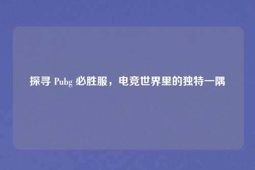 探寻 Pubg 必胜服，电竞世界里的独特一隅