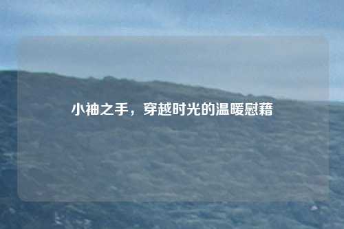 小袖之手，穿越时光的温暖慰藉