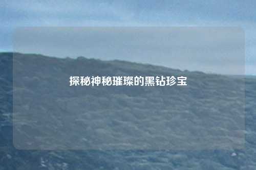 探秘神秘璀璨的黑钻珍宝