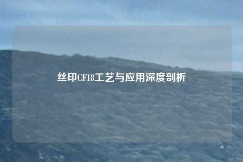 丝印CF18工艺与应用深度剖析
