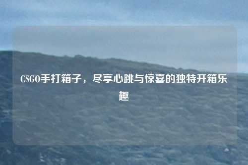 CSGO手打箱子，尽享心跳与惊喜的独特开箱乐趣