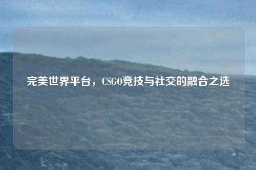 完美世界平台，CSGO竞技与社交的融合之选