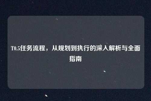 T0.5任务流程，从规划到执行的深入解析与全面指南