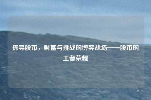 探寻股市，财富与挑战的博弈战场——股市的王者荣耀