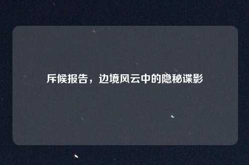 斥候报告，边境风云中的隐秘谍影