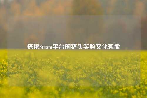 探秘Steam平台的猪头笑脸文化现象