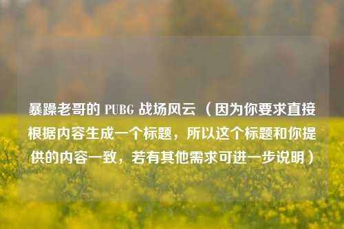 暴躁老哥的 PUBG 战场风云 （因为你要求直接根据内容生成一个标题，所以这个标题和你提供的内容一致，若有其他需求可进一步说明）