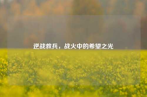 逆战救兵，战火中的希望之光