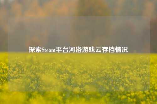 探索Steam平台河洛游戏云存档情况