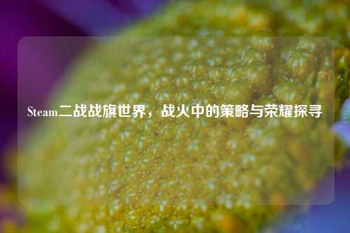 Steam二战战旗世界，战火中的策略与荣耀探寻