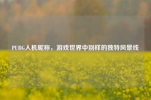 PUBG人机昵称，游戏世界中别样的独特风景线