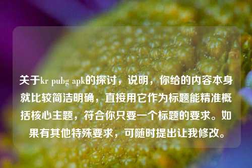 关于kr pubg apk的探讨，说明，你给的内容本身就比较简洁明确，直接用它作为标题能精准概括核心主题，符合你只要一个标题的要求。如果有其他特殊要求，可随时提出让我修改。