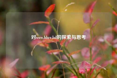对www.hhrr.lol的探索与思考