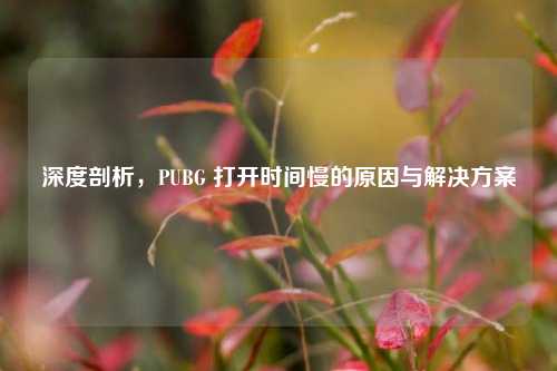 深度剖析，PUBG 打开时间慢的原因与解决方案